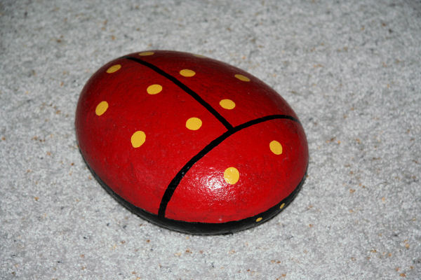 Lady Bug Rock 91