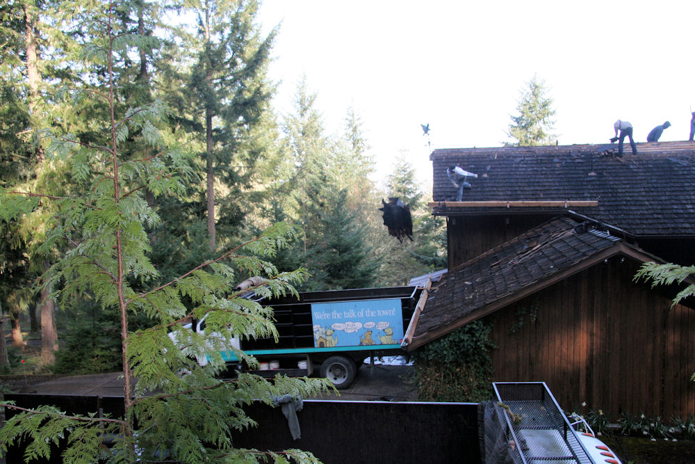 Noll Home Gets a New Roof