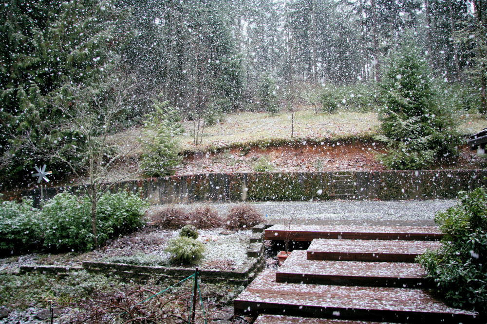 Noll Home in Oregon