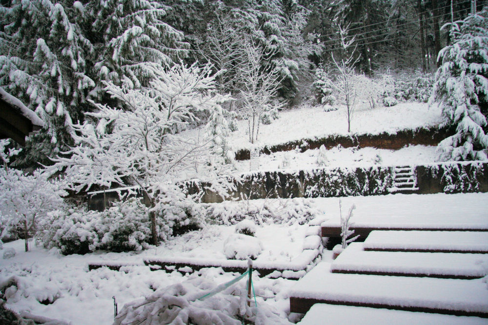 Noll Home in Oregon