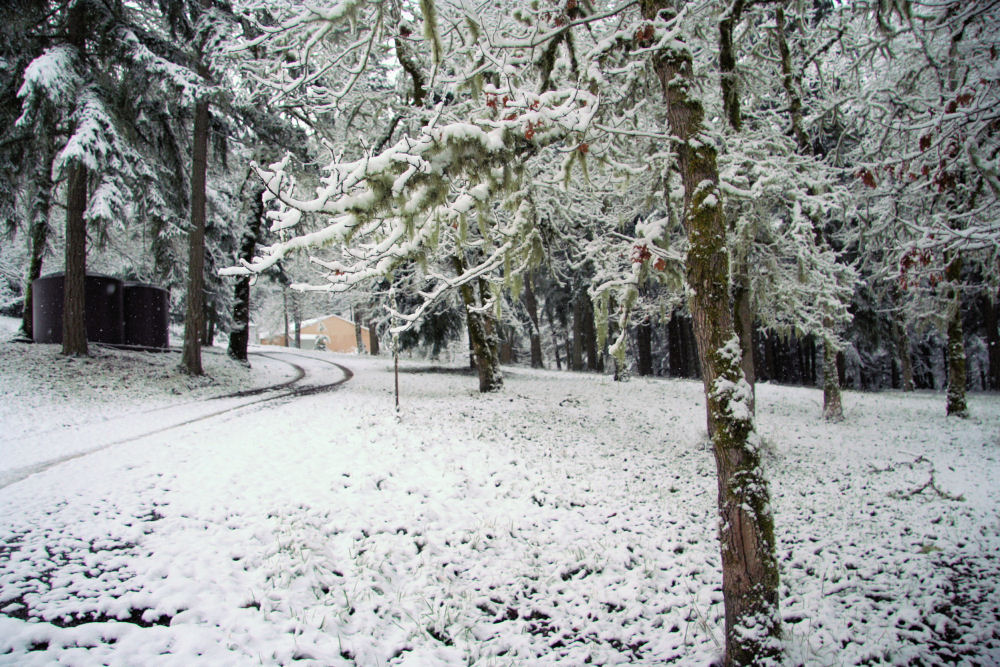 Noll Home in Oregon