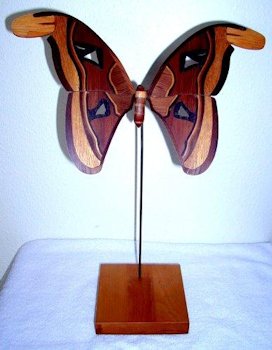 Butterfly Model 101