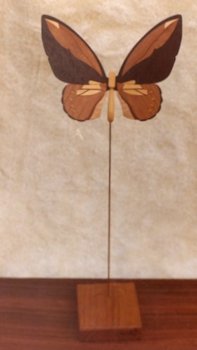 Butterfly Model 103