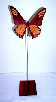 Butterfly Model 110