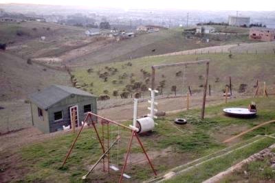 Chicken House and Hens on Fairview Ave. in Hayward