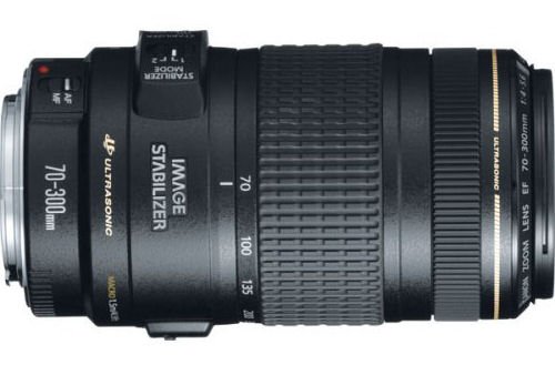 Canon EF 70-300mm f/4-5.6 IS USM Lens