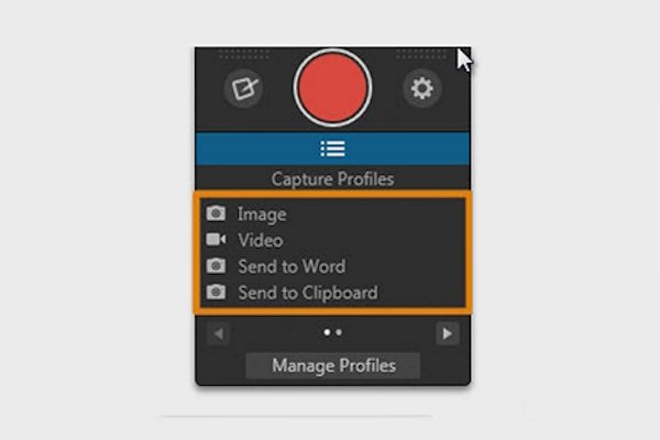 Snagit 11 Screen Capture Program