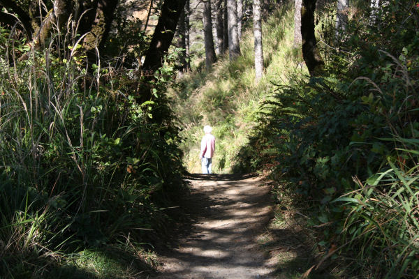 Arcadia Beach State Park