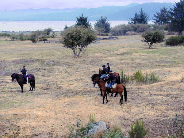 Officers on Horses