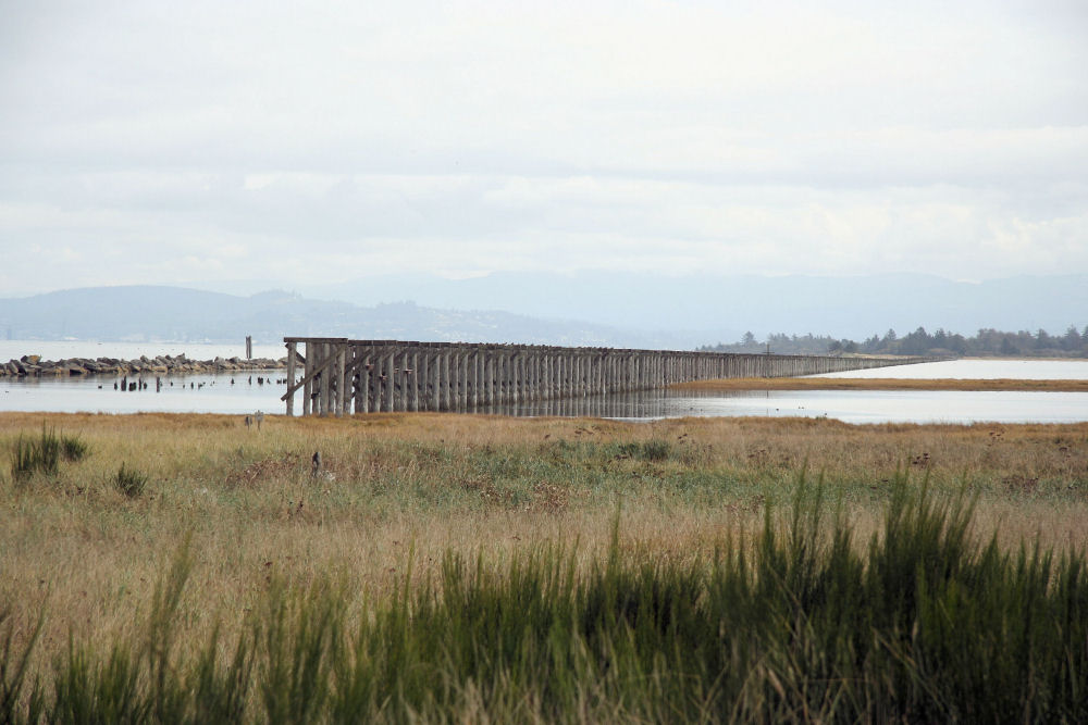 Columbia Jetty