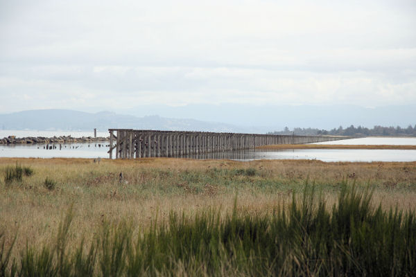 Train Trestle used to Build Jetty