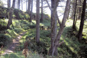 Ecola State Park