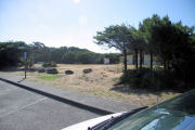 Manhattan Beach State Park, Oregon