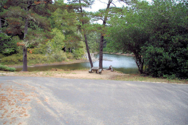 Lake at Alder Dune Campground