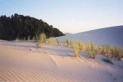 Honeyman Sand Dunes