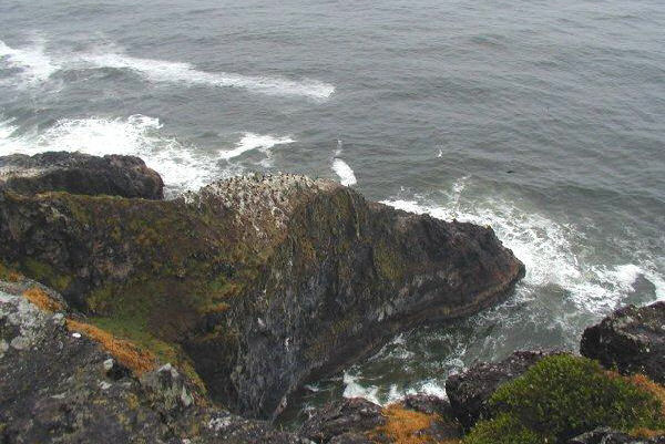 Cormorants on Rocks