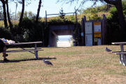 Tunnel to Beach 