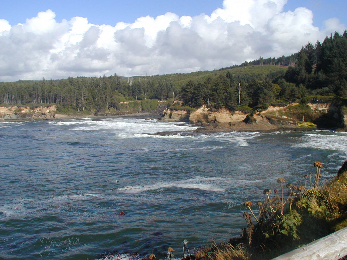 Boiler Bay View