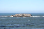 Gull Island