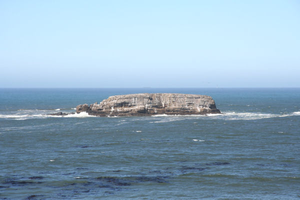 Gull Rock 