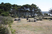 Picnic Area