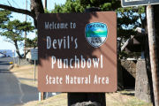 The Punchbowl