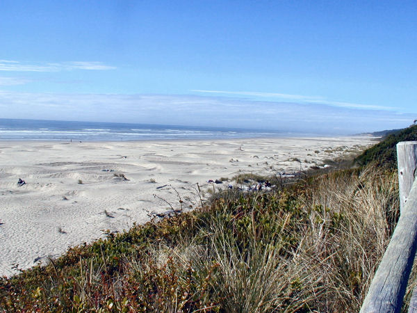 Beach at Driftwood Beach Wayside