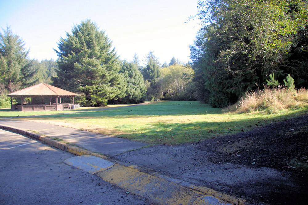 Fogarty Creek Meadow