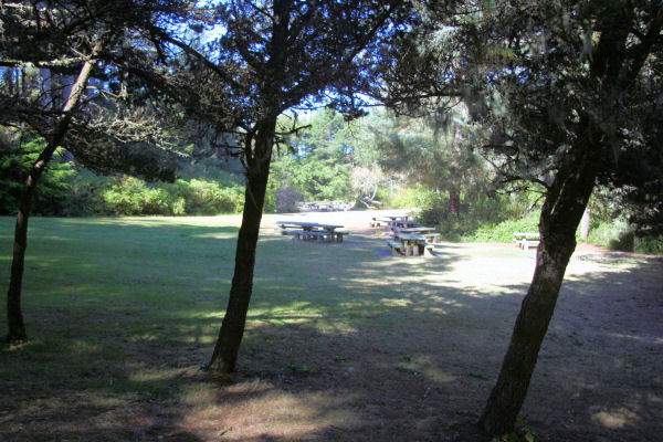 Picnic Tables