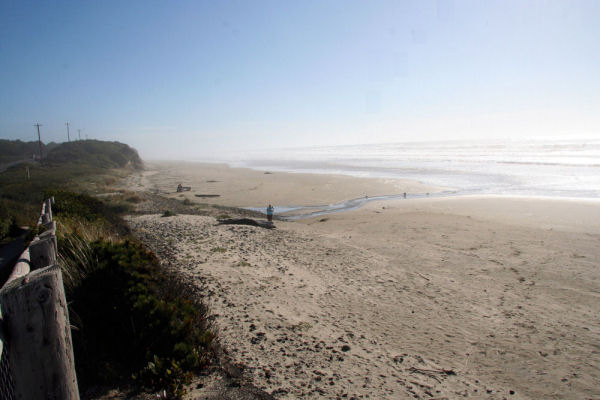 Beach Looking South