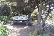 Shaded Picnic Table