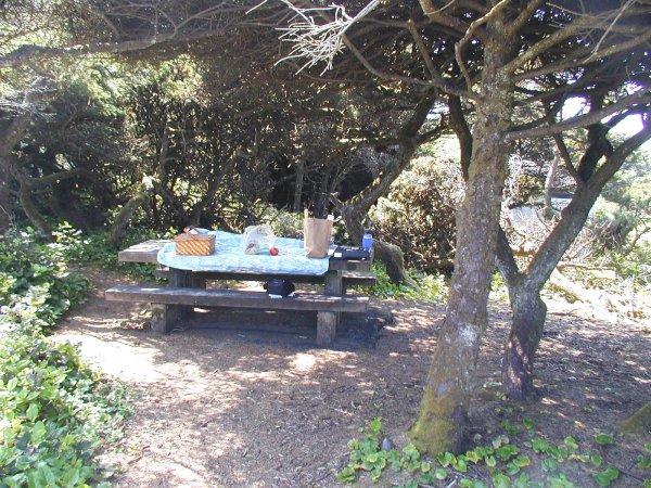 Lost Creek State Park Picnic Table