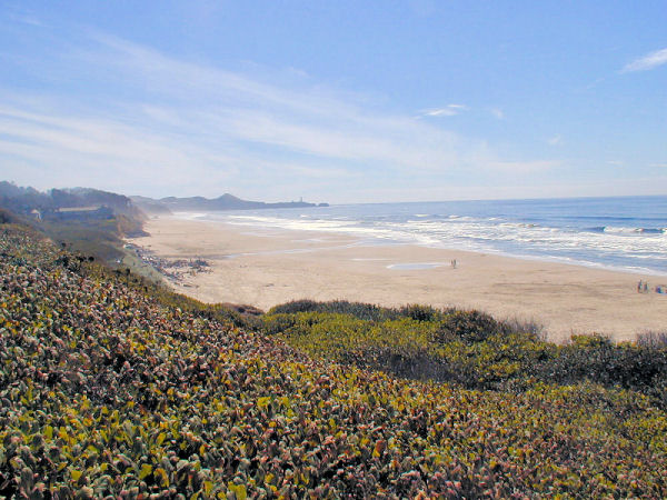 Moolack Beach Wayside Looking South