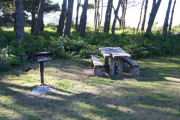 Picnic Tables