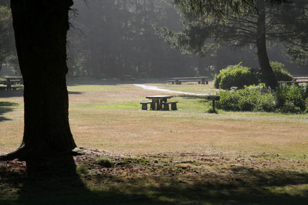 Ona Beach State Park Meadow
