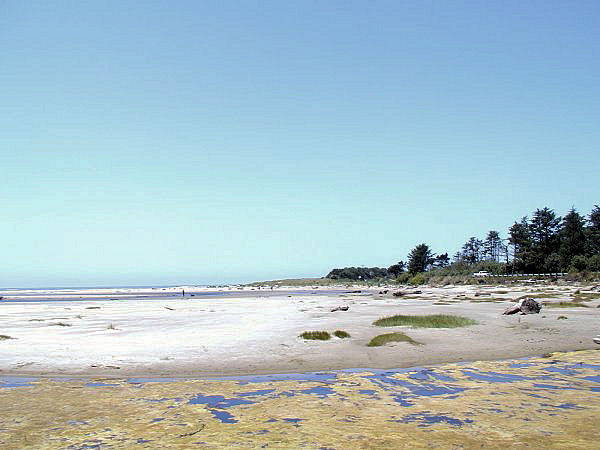 Ona Beach State Park Beach