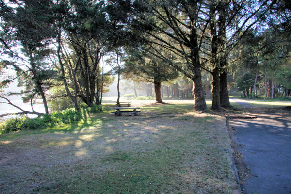 Ona Beach State Park Picnic Tables