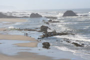 Tide Pool