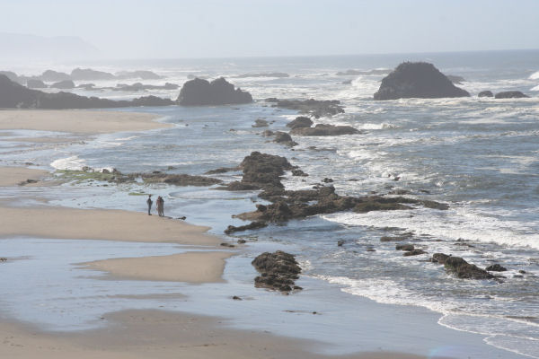 The Tide Pool 