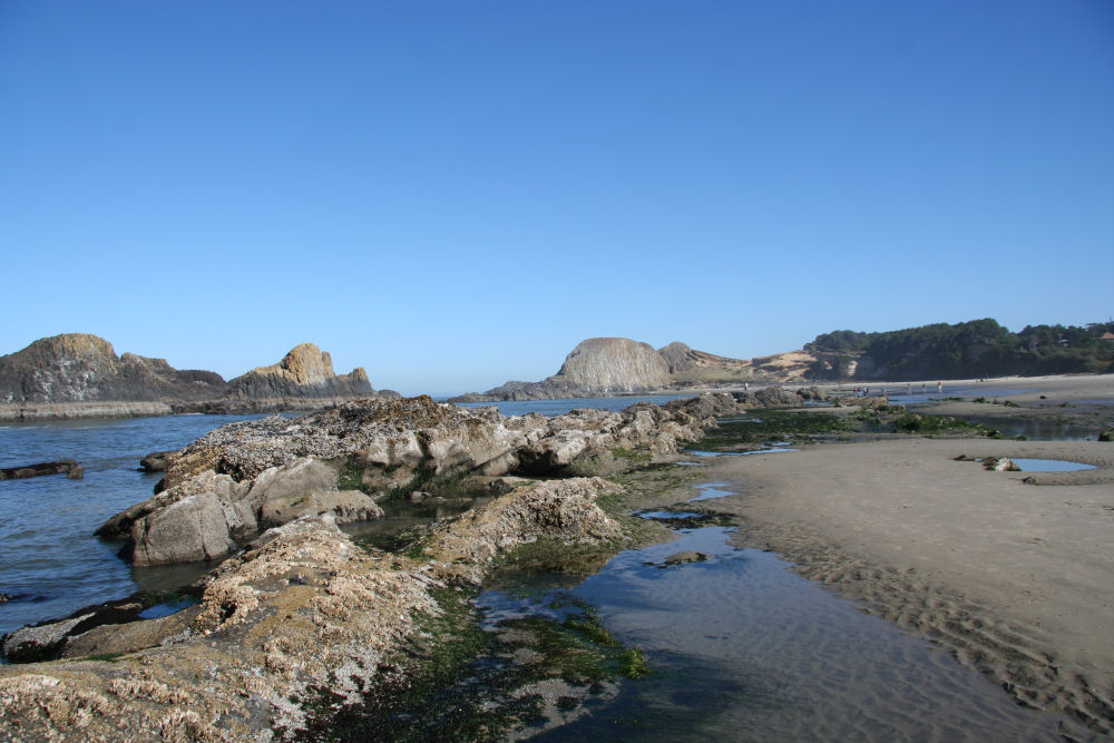 Seal Rock 