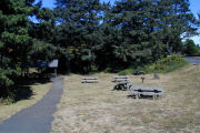 Picnic Tables