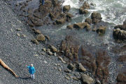 Tidepool