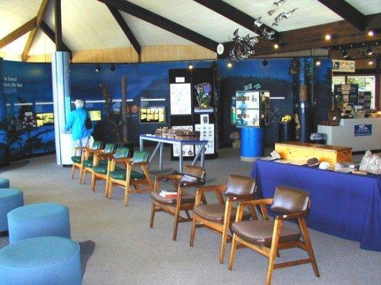 Exhibits in Cape Perpetua Visitors Center