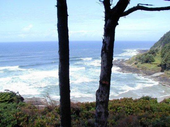 Beach from Cape Perpetua Visitors Center Porch