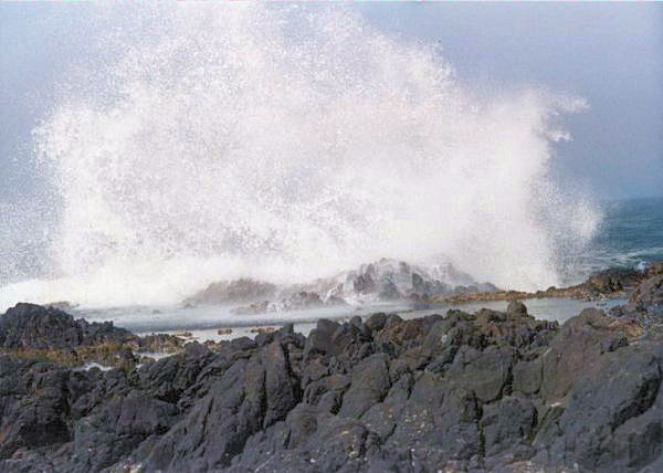 A Big Wave Crashes into the Rocks West