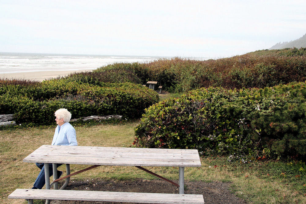 Picnic Table