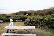 Picnic Tables