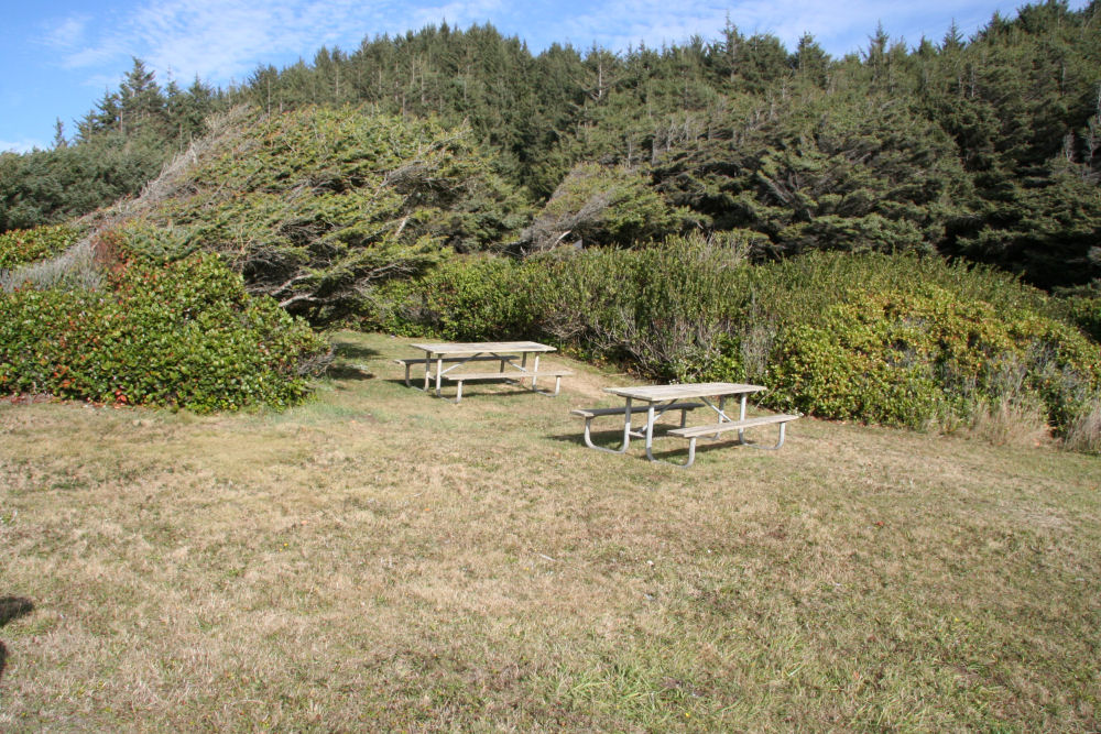 Picnic Tables