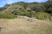 Picnic Tables