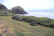 Picnic Table